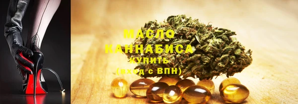 гидра Богородск