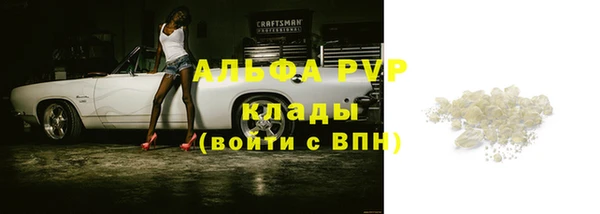 PSILOCYBIN Богородицк