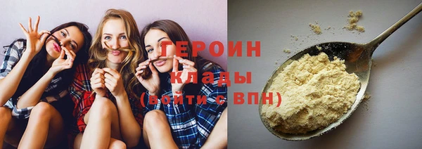 гидра Богородск