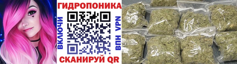 Канабис гибрид  Муравленко 
